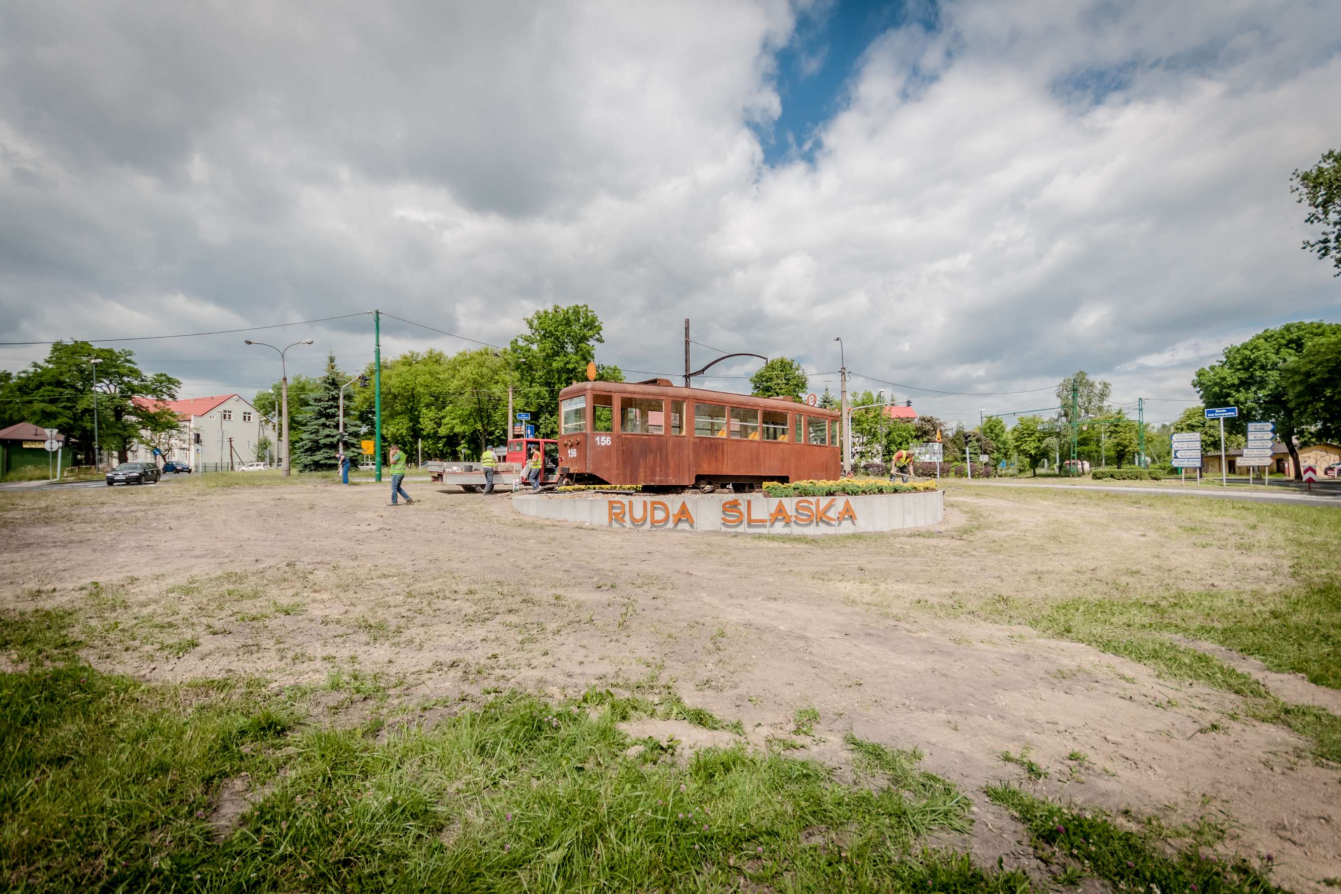 Katowicee Dąb przed wschodem słońca.